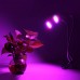 PROFI LED lampa na všetky rastliny, 10W, dvojramenná, ružovo-modrá